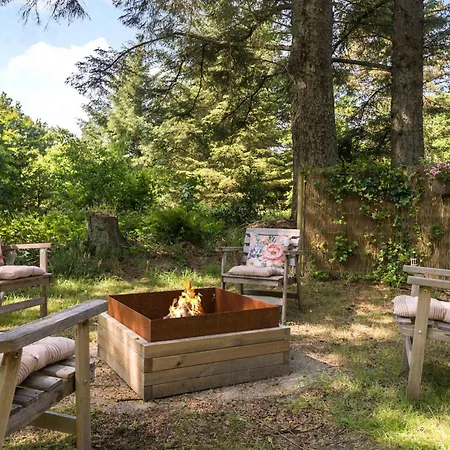 Beautiful In With Wifi * 乌尔夫堡