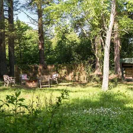 Beautiful In With Wifi